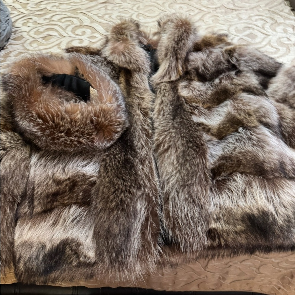 Fur - Picture 4 of 8